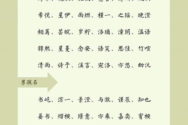 2019年4月20号丑时出生的男孩起名时要注意什么姓名