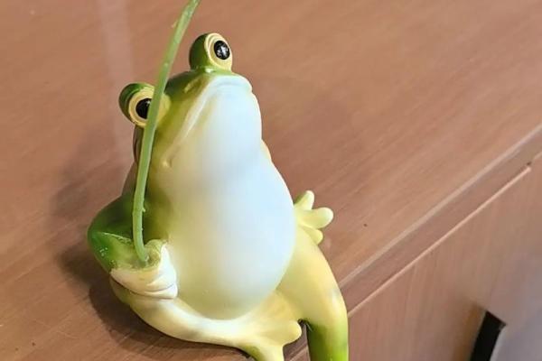小青蛙风水