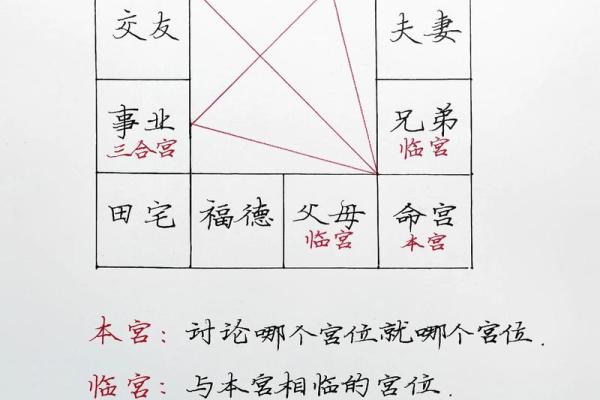 紫薇斗数文案视频的简单介绍