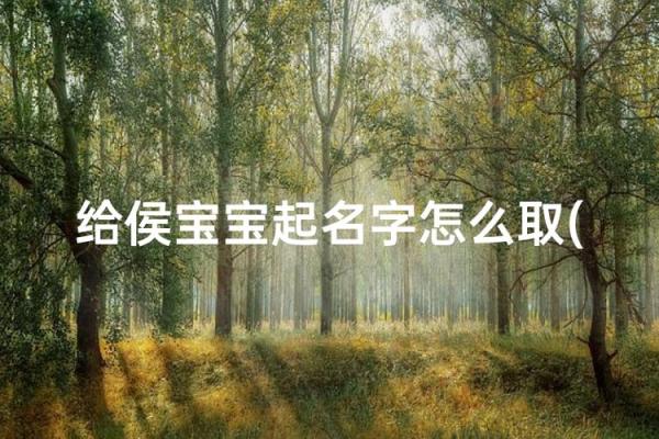 8月份出生的属猴男孩名字取什么好姓名