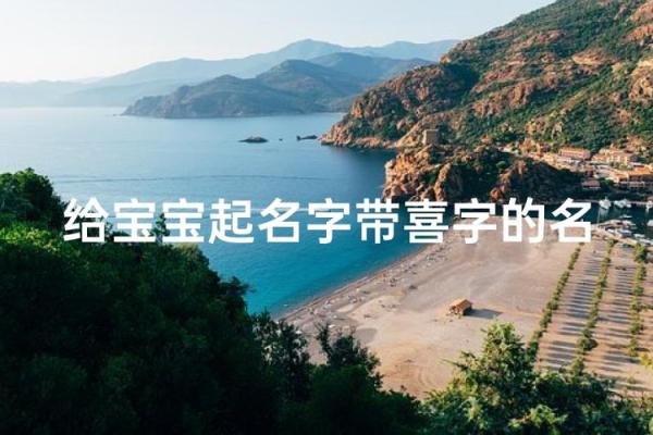 8月份出生的属猴男孩名字取什么好姓名