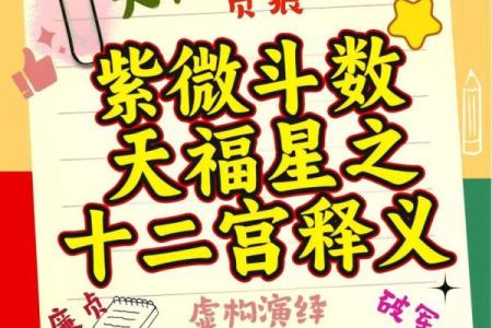 紫微斗数诸星落诸宫之：巨门星兄弟宫详解