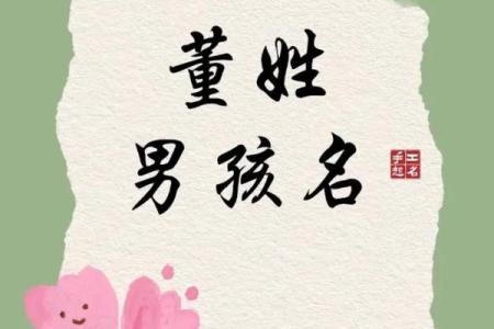 董姓男孩名字大全-董姓男孩起名字大全-董姓名字大全姓名