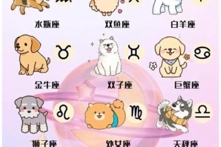 十二星座女生最适合养哪种狗