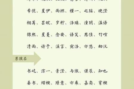 2019年4月20号丑时出生的男孩起名时要注意什么姓名