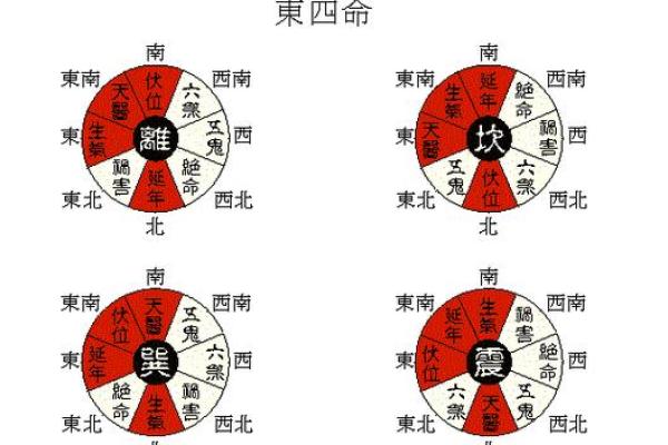震宅震命吉凶方位