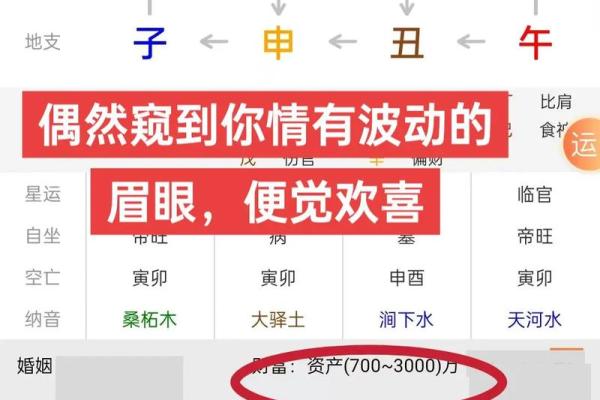 南方周易排八字 南方周易排八字APP