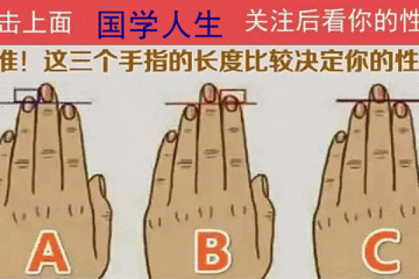 手指算命，手指长短判断一个人的个性