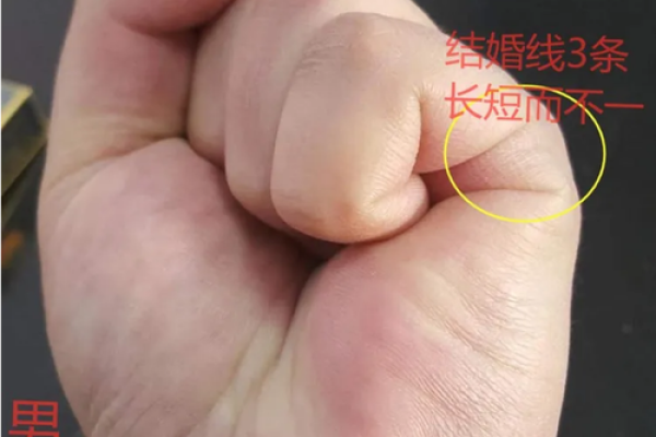 手指算命，手指长短判断一个人的个性