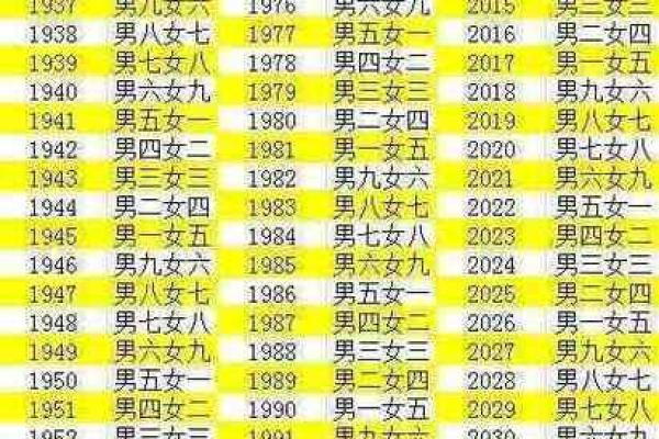 八字合盘
