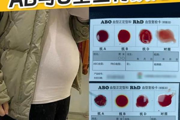 o血型稀有吗 O型血少见吗