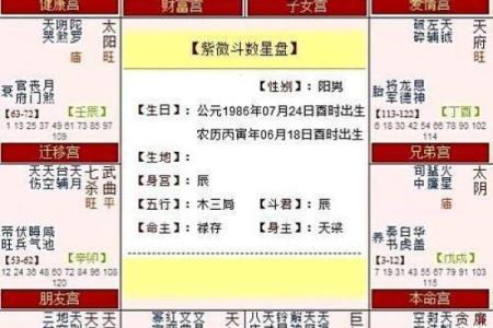 紫薇斗数行限详解