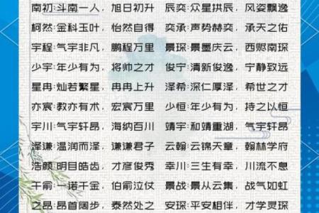 2019年6月13号寅时出生的男孩应该起什么样的名字姓名