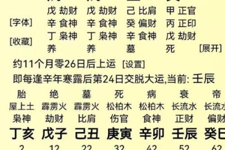 八字论命方法潘昭佑,潘昭佑的预测水平
