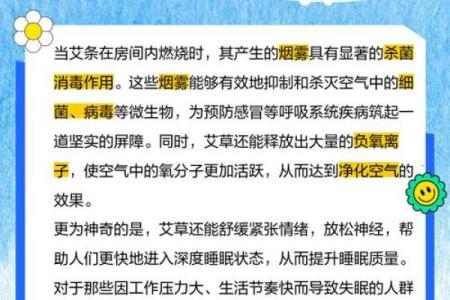 为什么艾草不能送人有什么风水说法