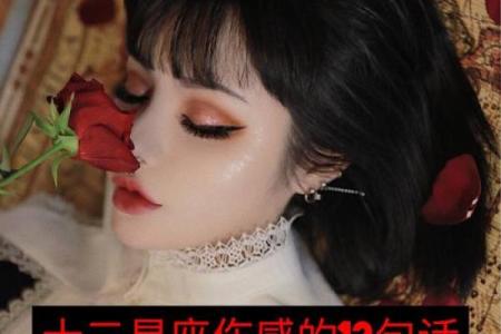 快手上的十二星座作品怎么编辑不了
