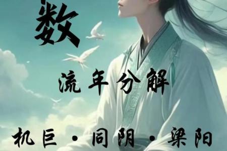 紫薇斗数梁派