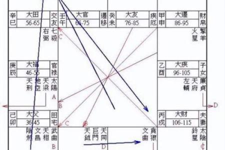 中洲紫薇斗数