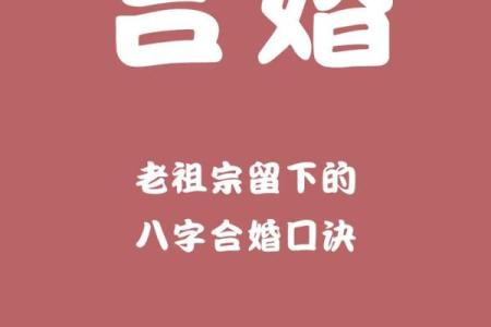 八字合盘