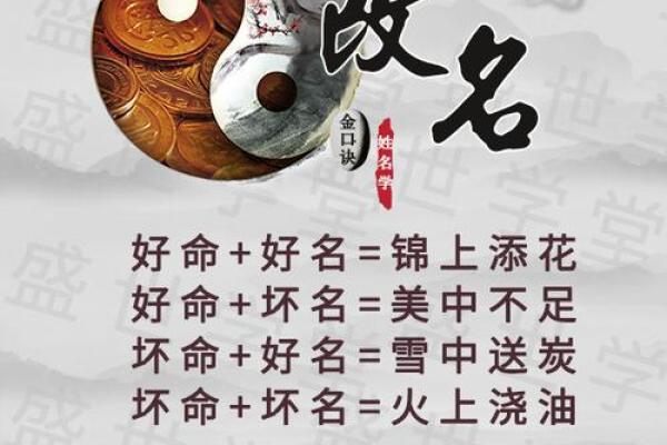 鞋店名大全-姓名学姓名