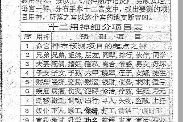 玄女算命电视剧全集播放