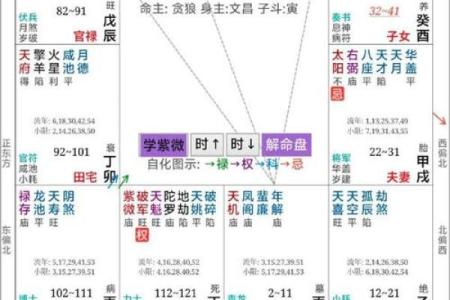 紫薇斗数看婚姻远近