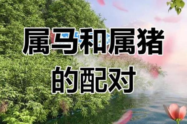 属猪的和什么属相配对好