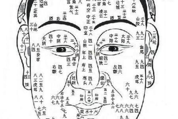 五官看面相算命图解女眼睛 眼睛看相算命图解