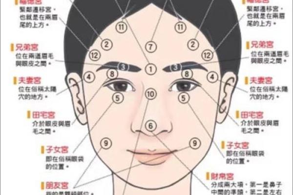 五官看面相算命图解女眼睛 眼睛看相算命图解