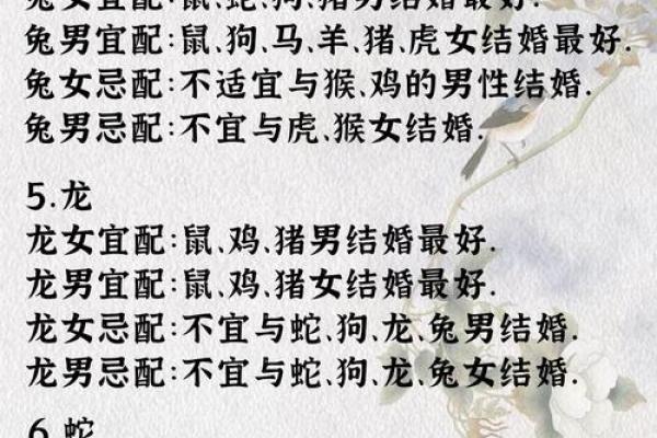 女羊男兔生肖配对姻缘 属羊女与属兔男婚姻配对详解