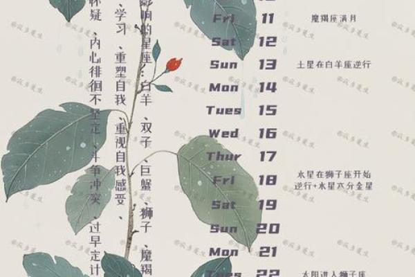 双子座622星座运势