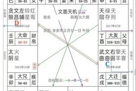紫薇斗数能断事吗