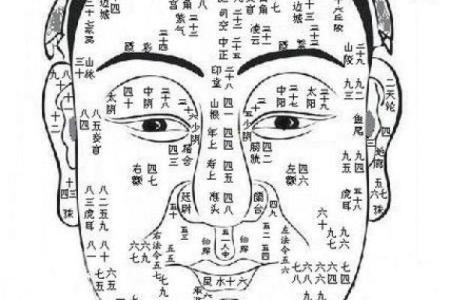 五官看面相算命图解女眼睛 眼睛看相算命图解