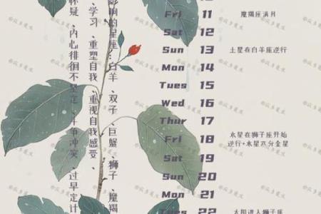 双子座622星座运势