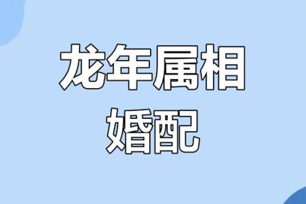 龙生肖配对姻缘 龙生肖配对排名？