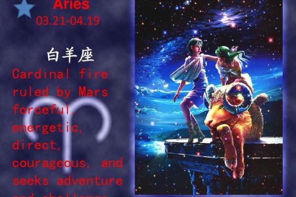 12星座学习小报：贴心分享，助你事业成功