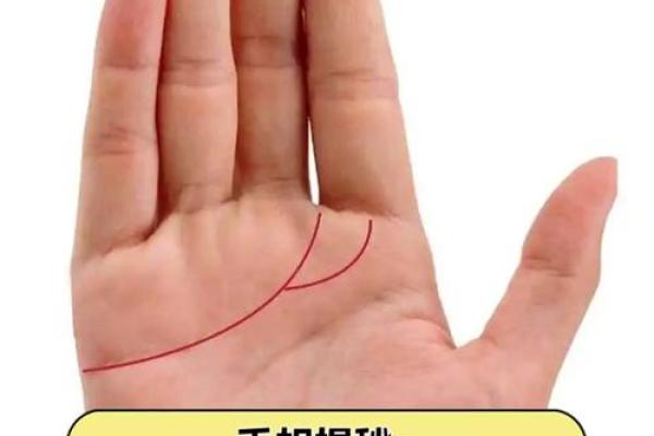 手相风水：爱情线怎么看有几段感情