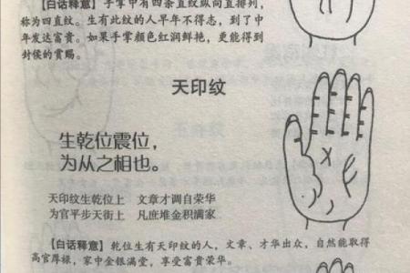 手相图解大全女右手算命 看手相算命图解女性右手
