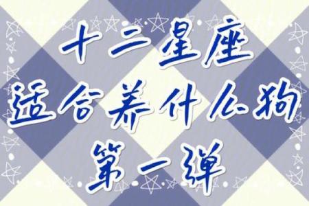 12星座学习小报：贴心分享，助你事业成功