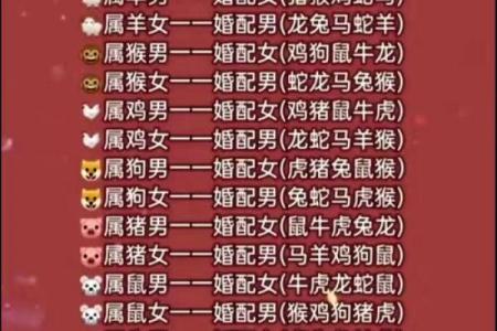 最佳的十二生肖婚姻配对大全