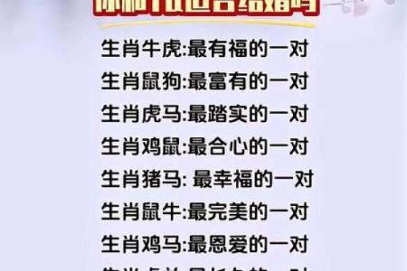 七九年属什么生肖配对