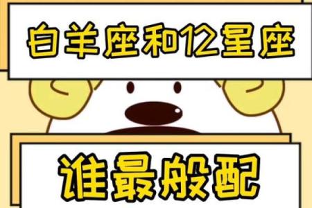 白羊座嫁给什么星座是最合适的男生