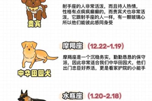12星座摩羯座适合养什么狗