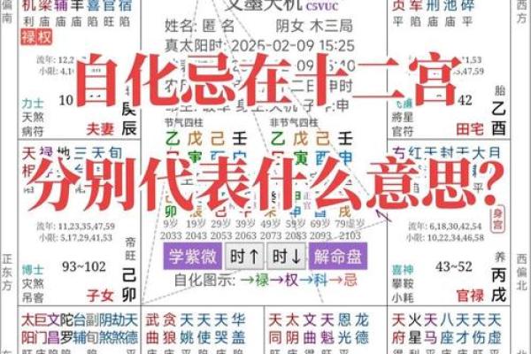 紫薇斗数生年自化