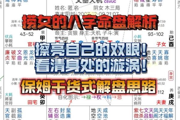 八字命盘自动解读