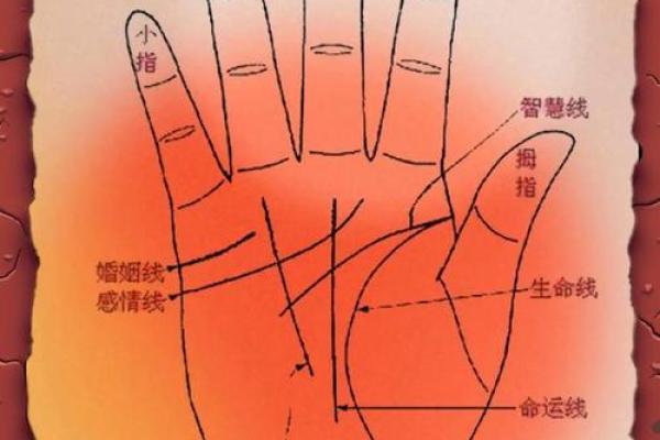 图解：手相手腕线算命