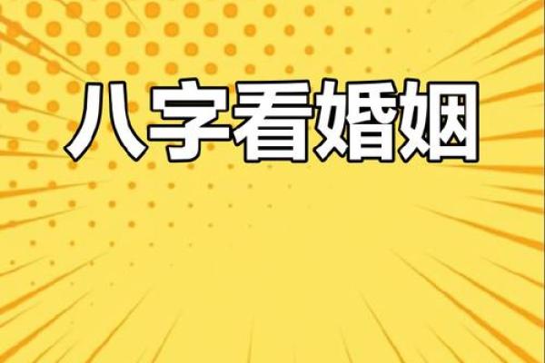 女命八字比肩劫财多，争夫无疑