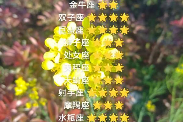 白羊座和金牛座配对指数 白羊座和金牛座配吗