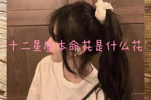 哪些花朵适合十二星座的专属