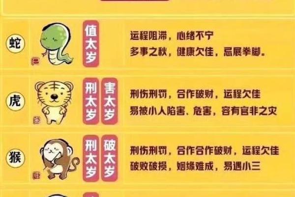 属猪的八字